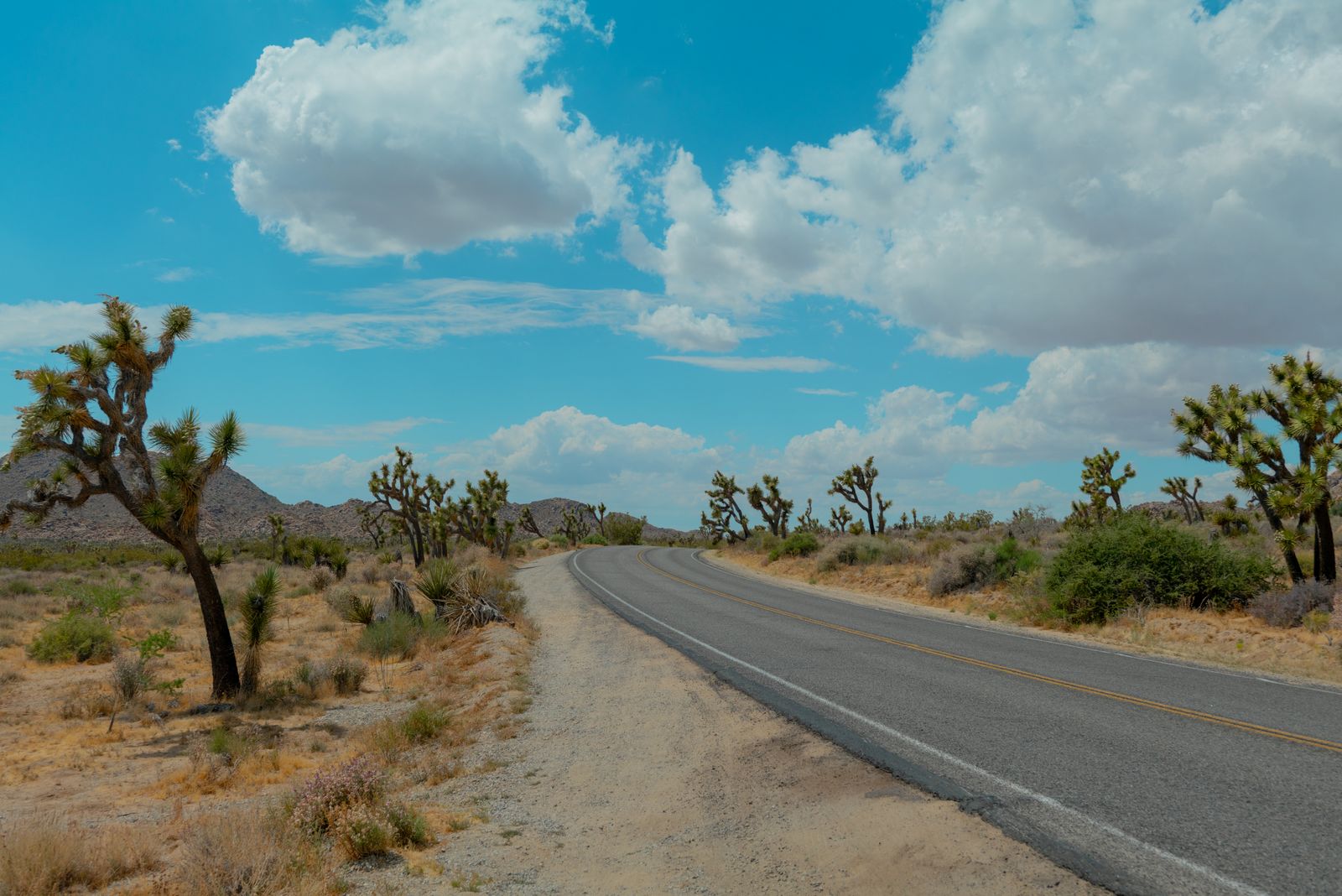 Anza-Borrego desert and Fonts Point